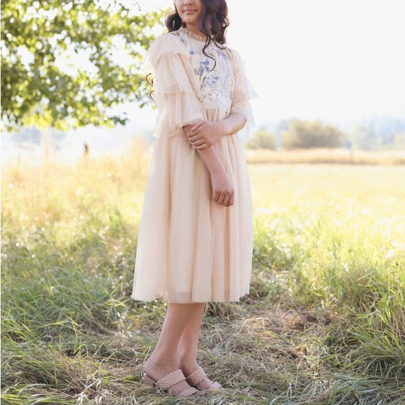 Dainty Jewells Dresses & Skirts - Dainty Jewells Blush Sequin Embroidered Tulle Dress M